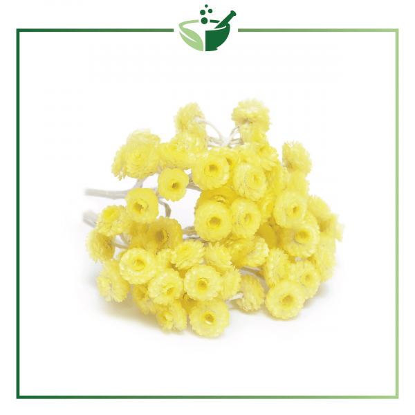 Helichrysum Essential Oil-01